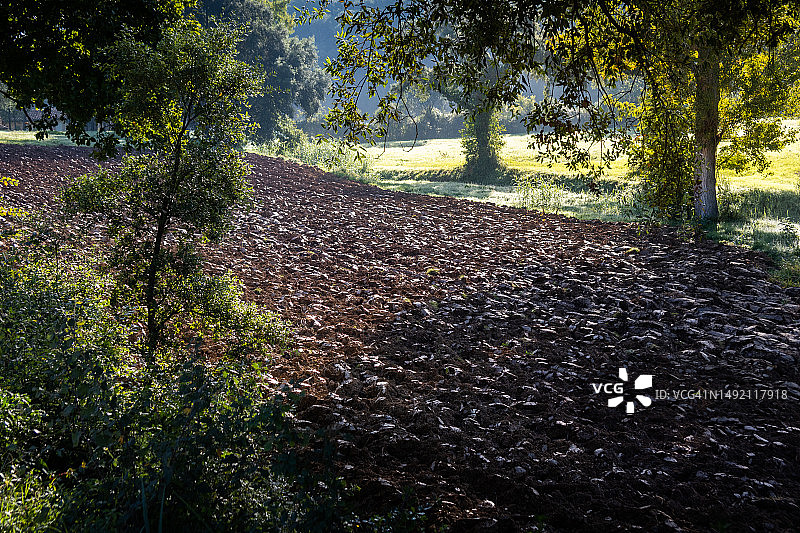 坎皮利亚马里蒂马-苏韦雷托徒步之旅（意大利托斯卡纳）图片素材