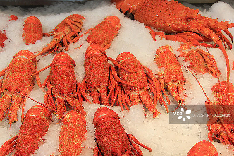 海鲜市场：冰柜上的小龙虾图片素材