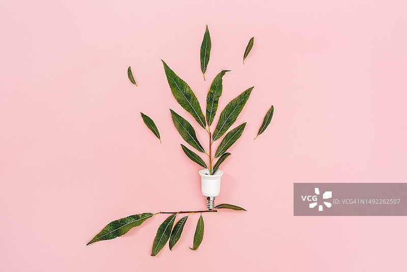 绿色可持续能源：绿叶生态灯泡俯视图图片素材