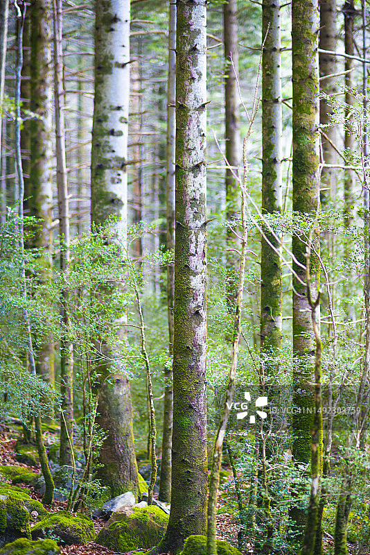 奥尔德萨国家公园图片素材
