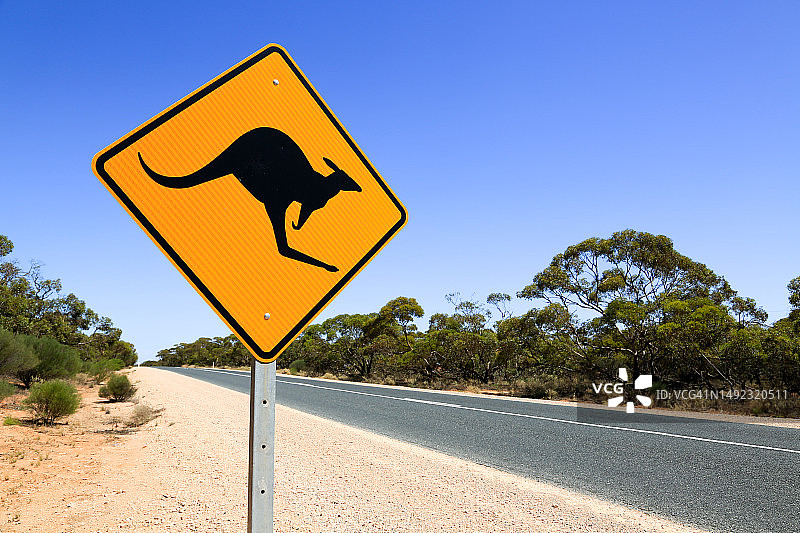 袋鼠警告标志。澳大利亚乡村道路上的交通警告标志。蓝天有复制空间。图片素材