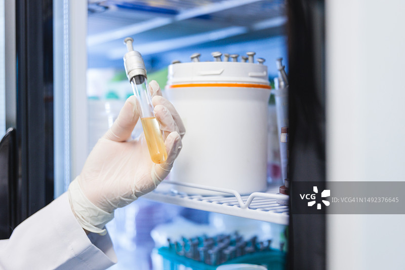 身份不明的医疗技术员从实验室冰箱中取出一管培养基图片素材