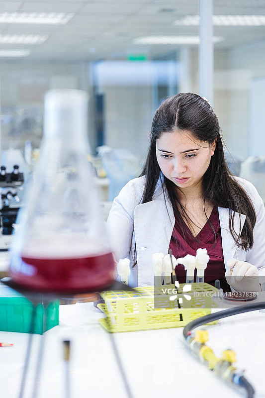 在微生物实验室工作的年轻女医技学生图片素材