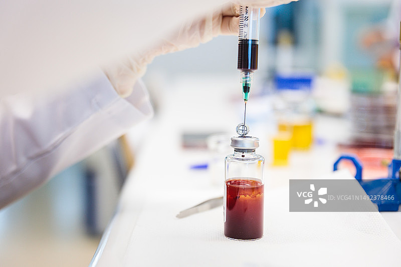 在实验室里，医学技术员用注射器将静脉血样本接种到血培养瓶中图片素材