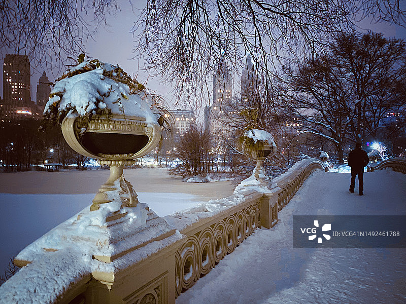 纽约市中央公园的弓桥（夜间暴风雪）图片素材
