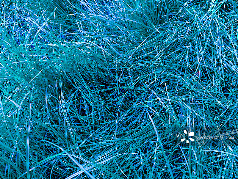 蓝色草地纹理特写图片素材