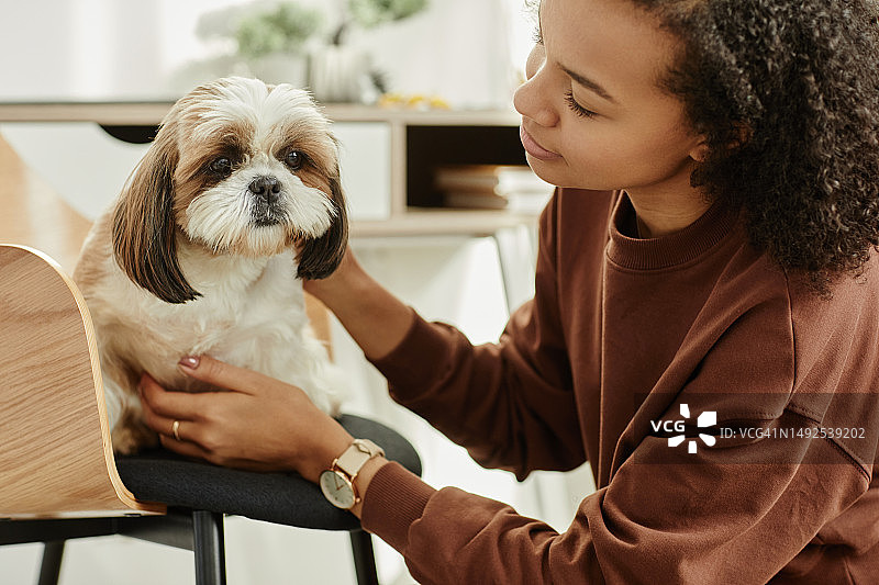 与可爱小狗玩耍的年轻黑人女子图片素材