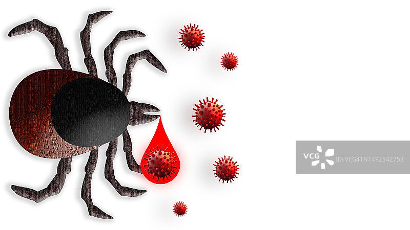 蜱虫是危险病毒的携带者，感染蜱虫的叮咬会传播脑炎、莱姆病等病毒。图片素材