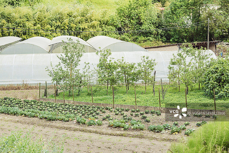 带温室和果园的农舍图片素材