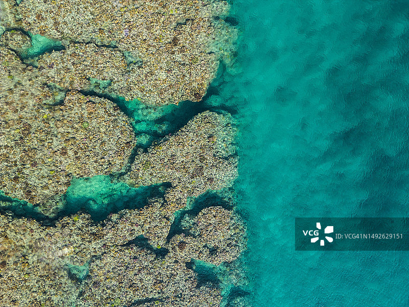 日本冲绳珊瑚俯视图图片素材