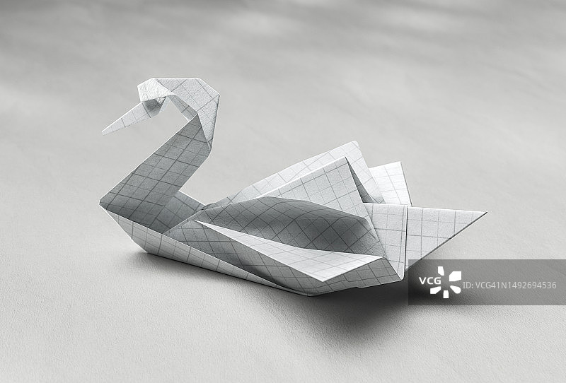 水面上的天鹅2图片素材