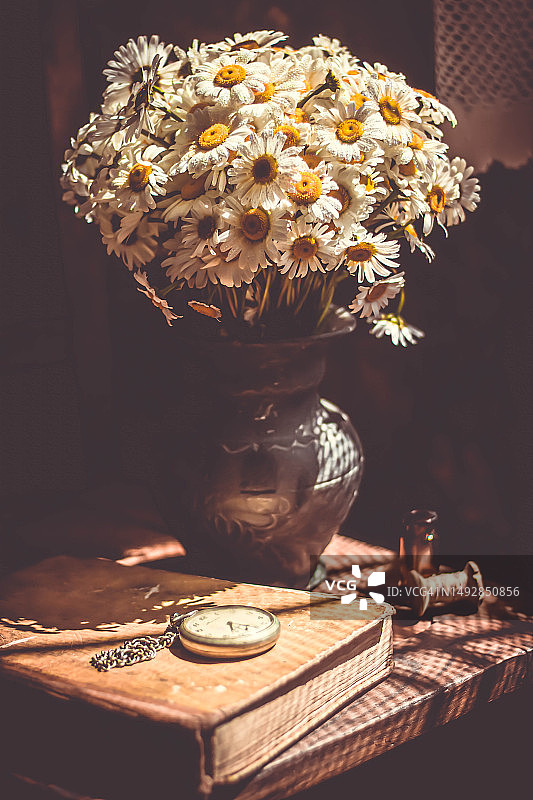 雏菊花束静物摄影图片素材