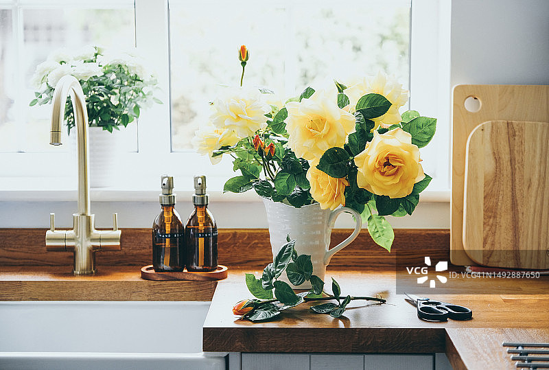 花园里新鲜采摘的黄色玫瑰图片素材