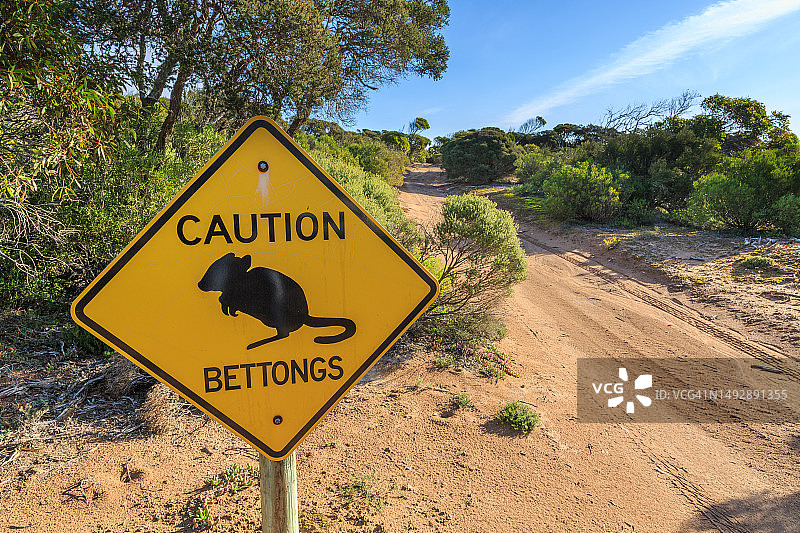 自然保护公园路边的警告标志，上面写着重新建立濒危物种袋狸，维纳斯湾，艾尔半岛，南澳大利亚图片素材