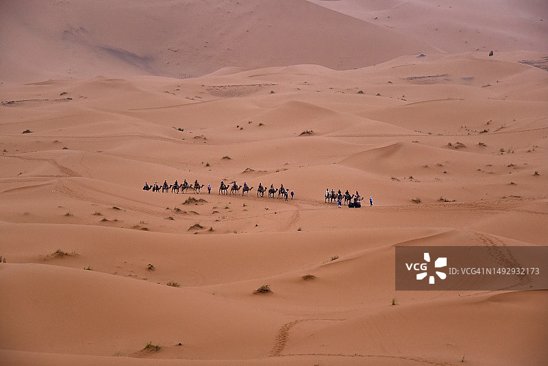 人们在沙漠骑骆驼图片素材