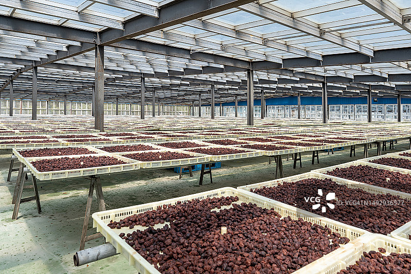 室内干果食品晾晒场图片素材