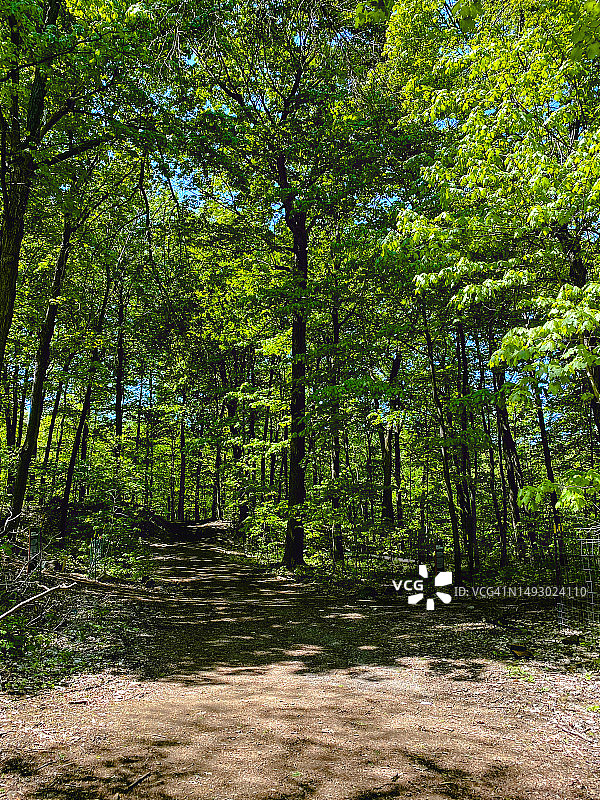 蒙特利尔皇家山公园图片素材