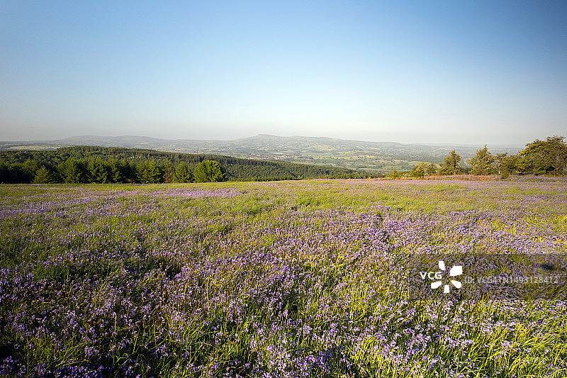 英国赫里福德郡莫蒂默森林的高文纳尔斯图片素材