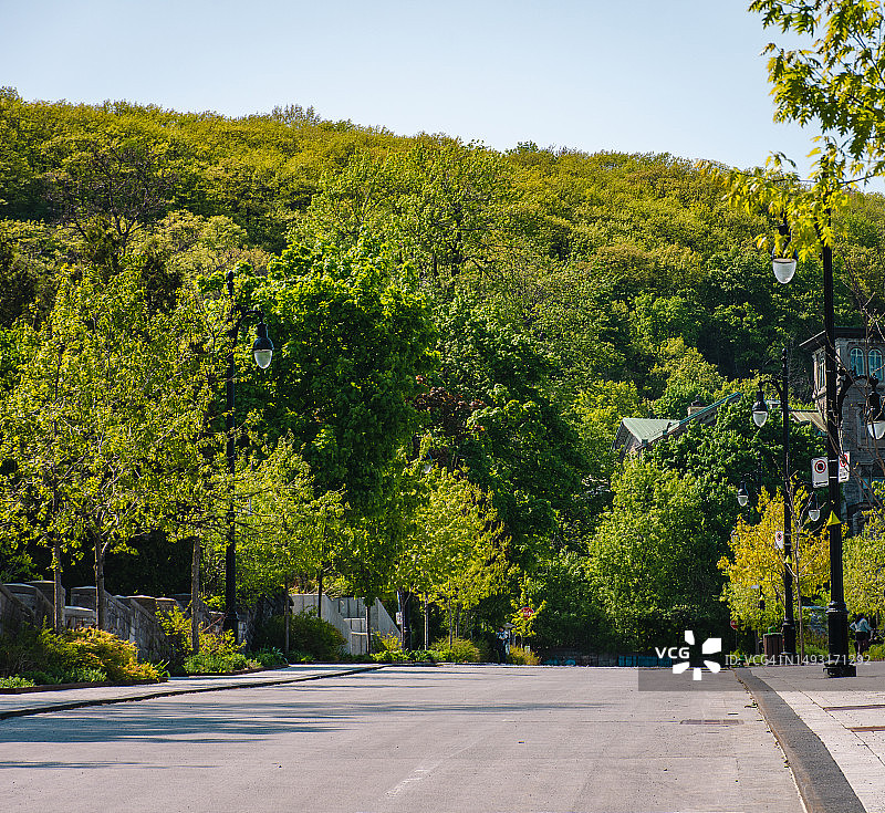 蒙特利尔绿树环绕的街道图片素材