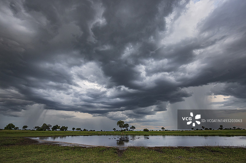 日落时分的河马池图片素材