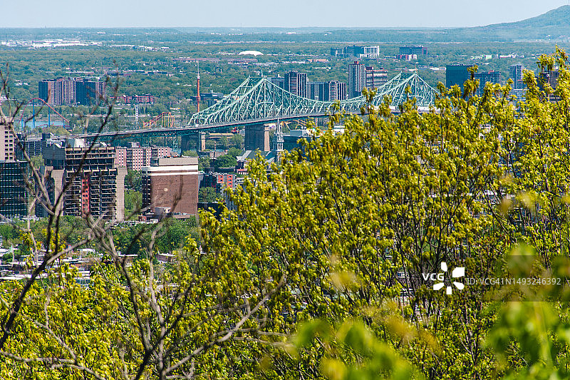 从皇家山俯瞰蒙特利尔图片素材