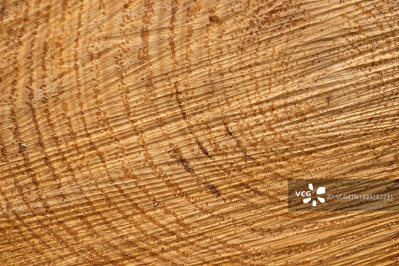 带有年轮的天然棕色木材特写图片素材