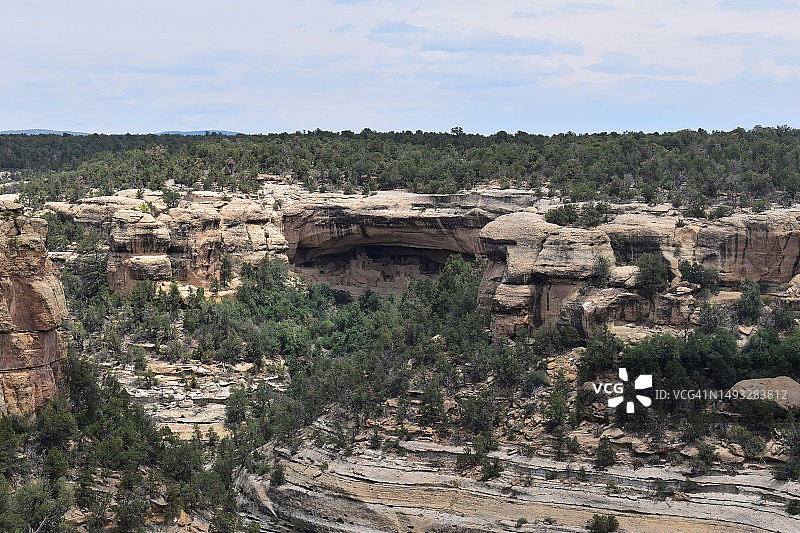 天空下的树木景观图片素材