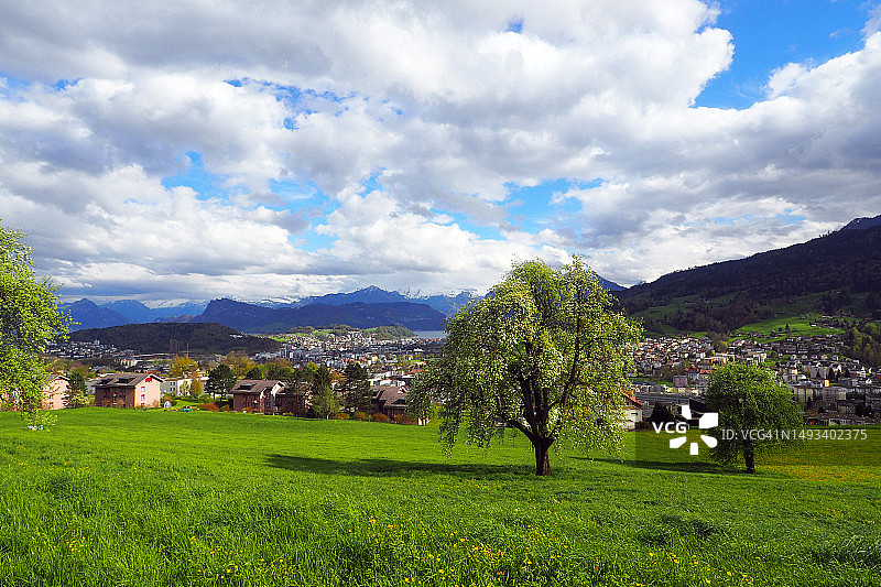 瑞士阿尔卑斯山克林斯镇的春季草甸图片素材