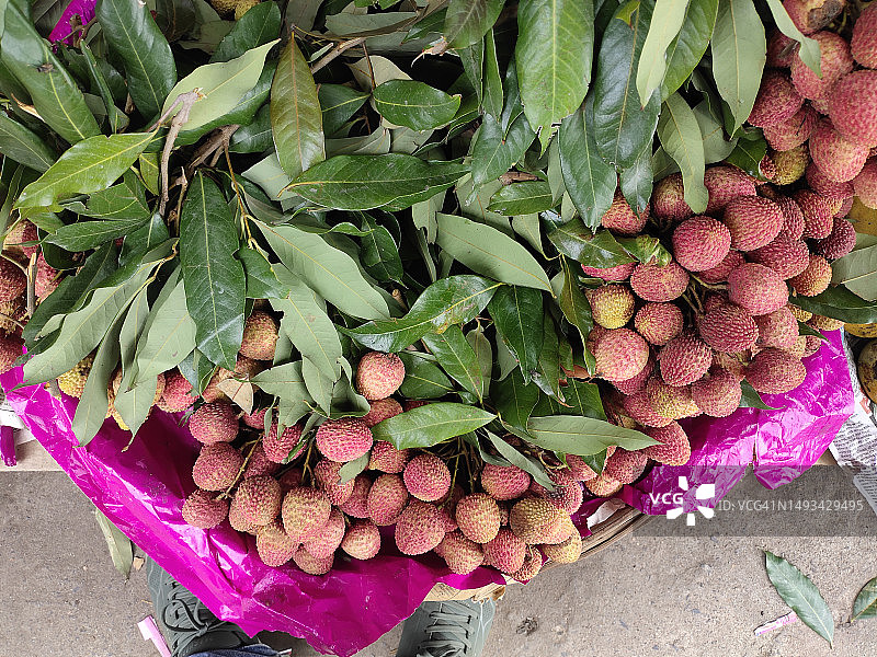 夏季零售店出售的热带水果图片素材