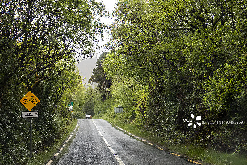 穿过茂密森林的乡村公路图片素材