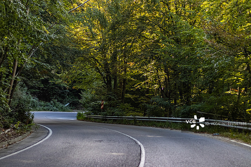 保加利亚森林中，树木掩映下的空旷道路图片素材