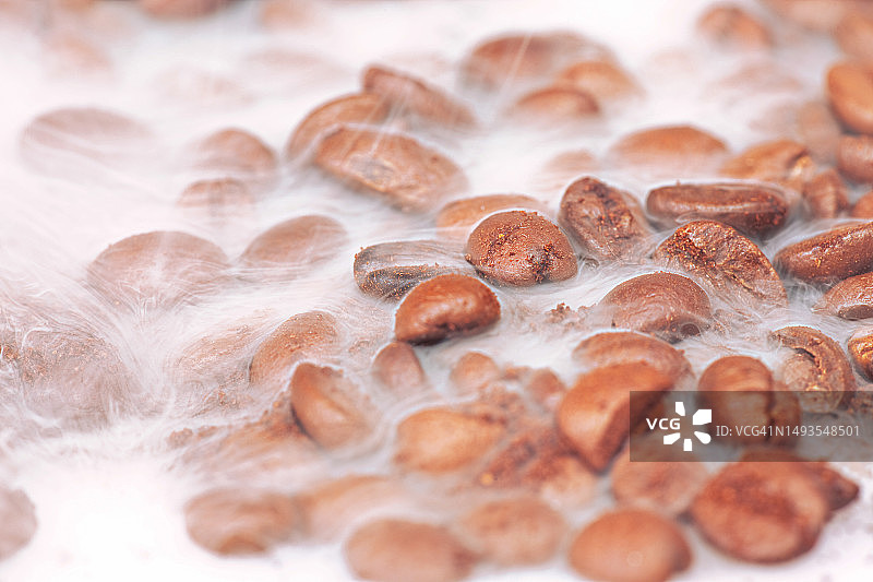 蘑菇全画幅照片图片素材