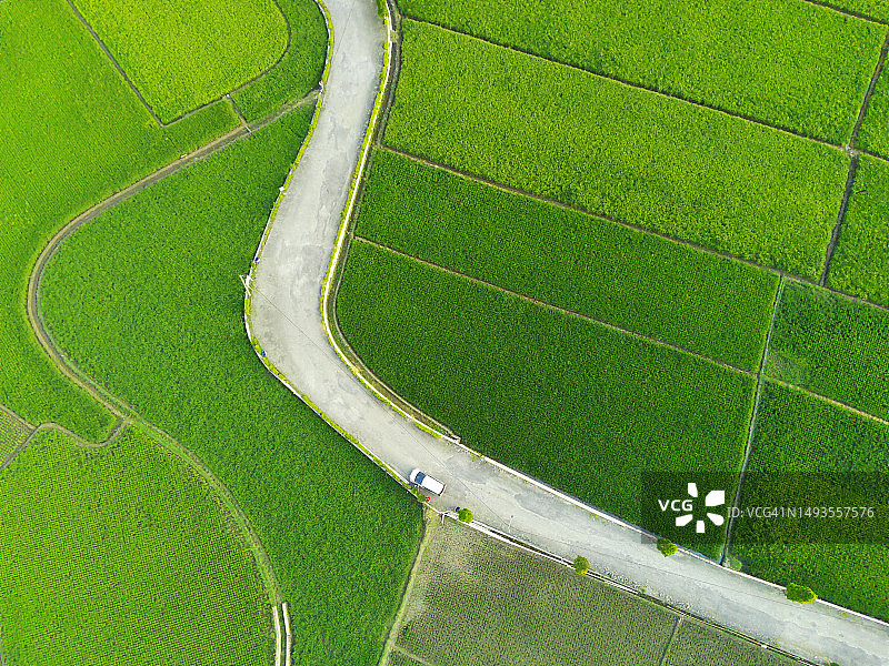 印度尼西亚中爪哇安巴拉瓦：蜿蜒的稻田航拍景色图片素材