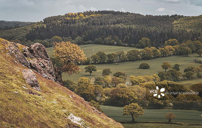 英国什罗普郡田野上树木的天空美景图片素材