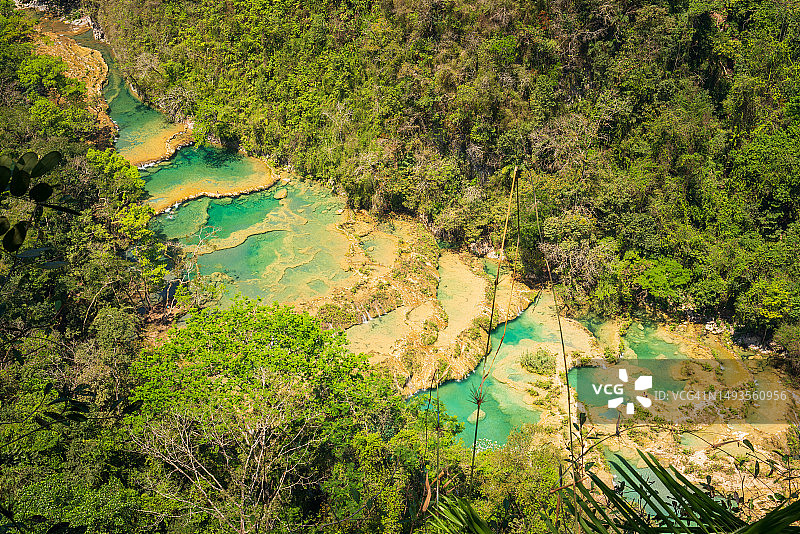 危地马拉森林树木高角度景观图片素材