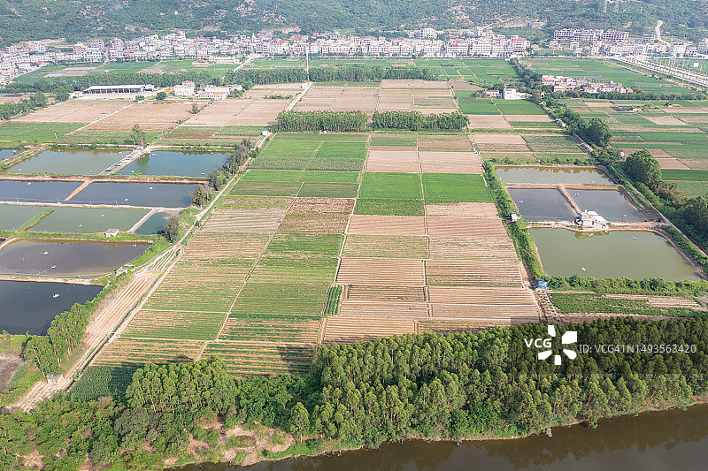 乡村稻田和渔场图片素材