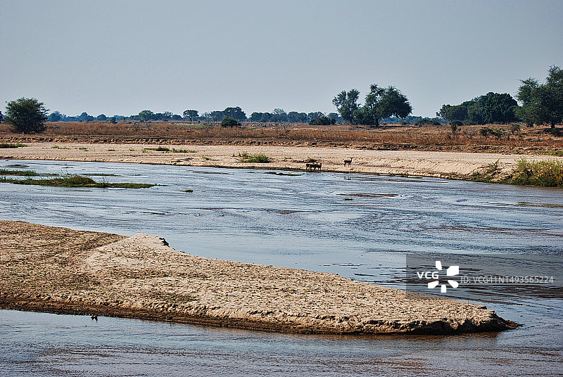赞比亚海滩的晴朗天空景色图片素材