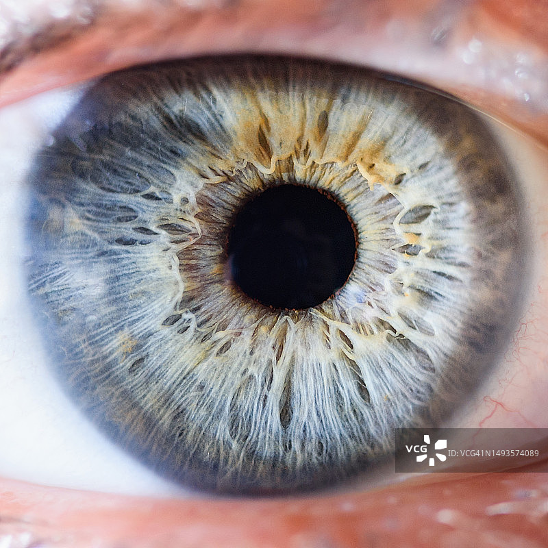 人眼特写微距照片：蓝色眼睛细节图片素材