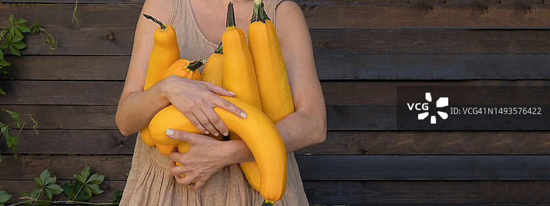 手中的有机农场蔬菜，环保理念图片素材