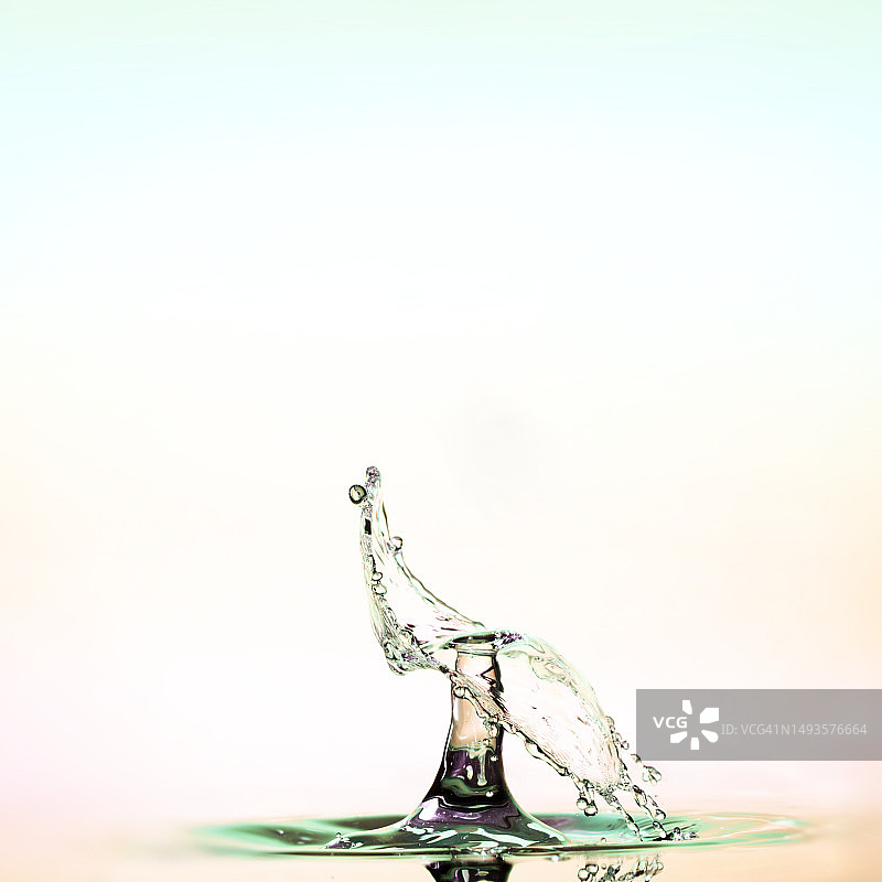 水花在白色背景下飞溅的特写图片素材
