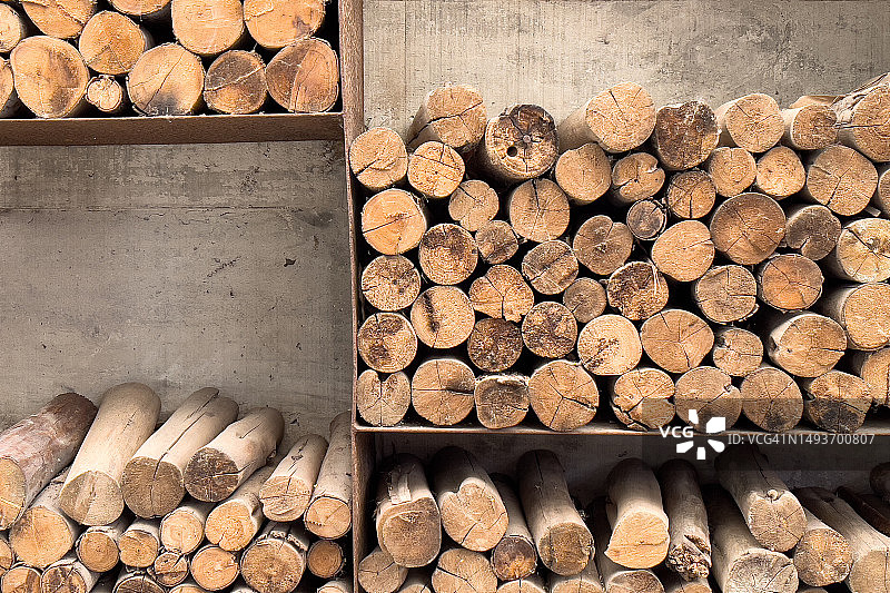 带有木纹图案背景的树木横截面图片素材