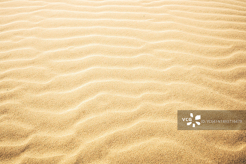 单色金色沙丘纹理图片素材