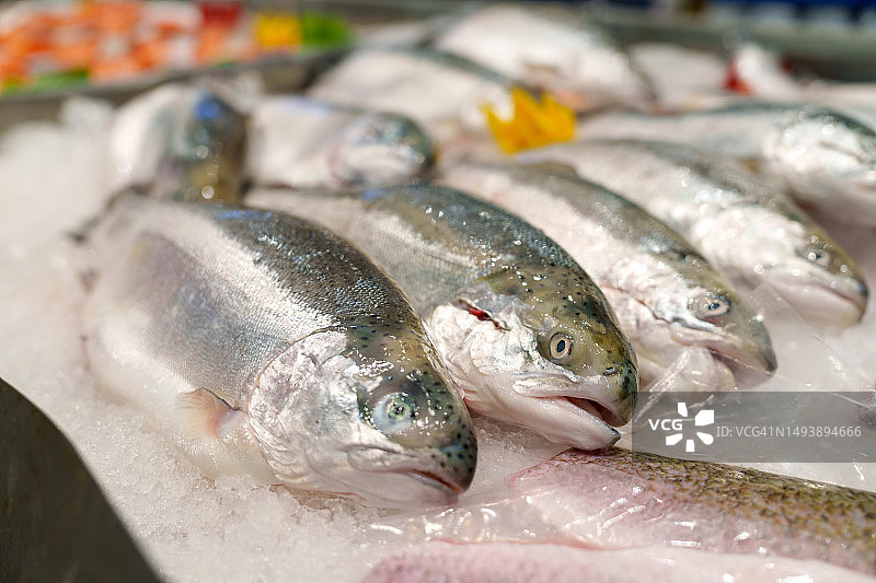 零售店中冰镇新鲜生鲑鱼特写图片素材