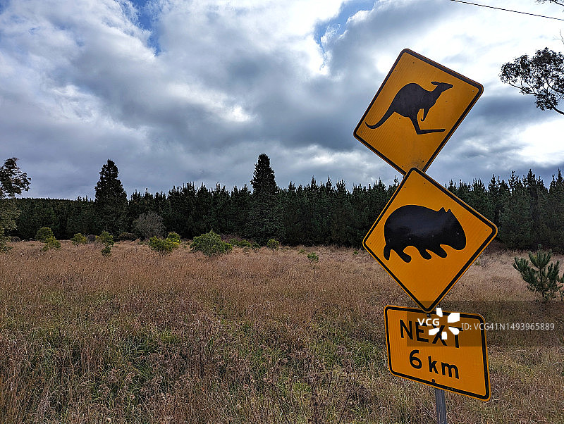 袋鼠和袋熊路标图片素材