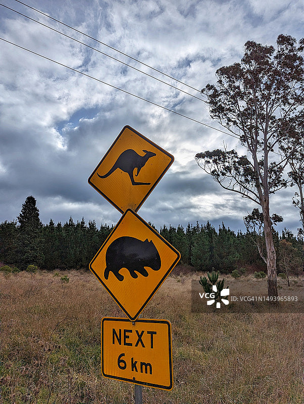 袋鼠和袋熊路标图片素材