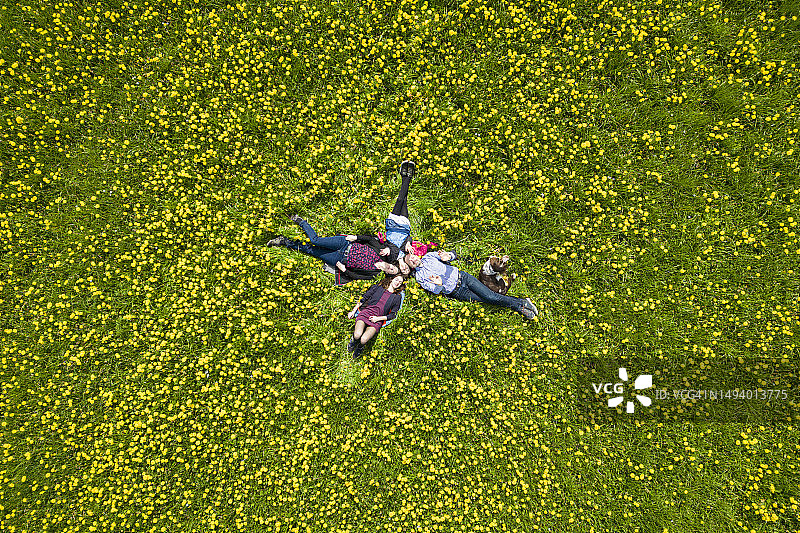 幸福的一家在开满鲜花的草地上与狗玩耍图片素材