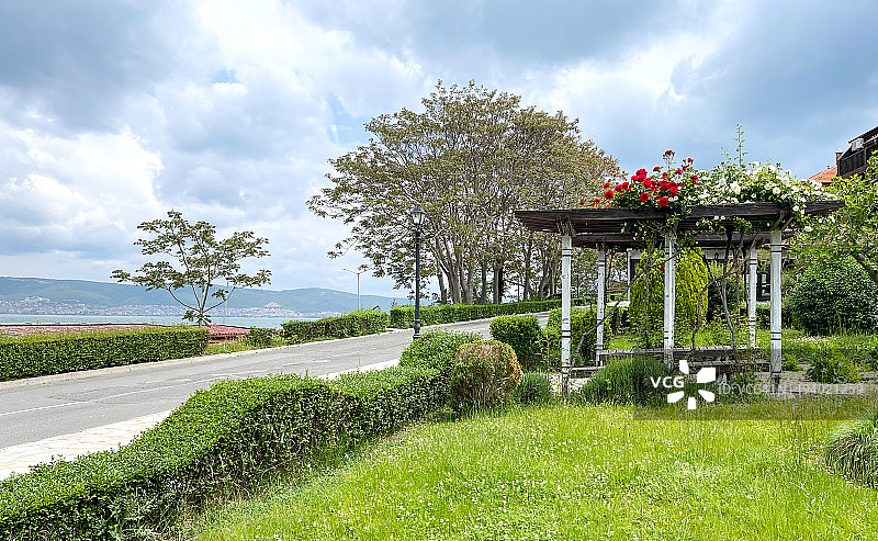 美丽春天海边公园图片素材