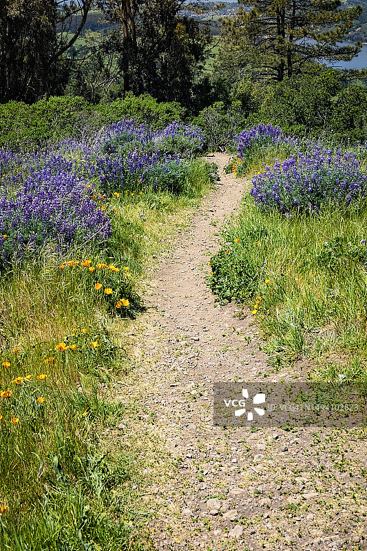 春季徒步小径图片素材