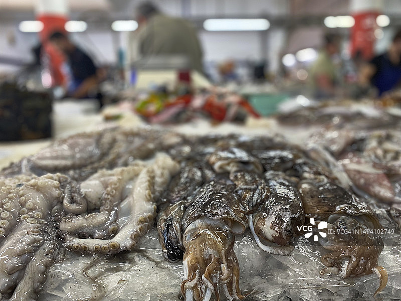 葡萄牙鱼市场里的新鲜鱼图片素材