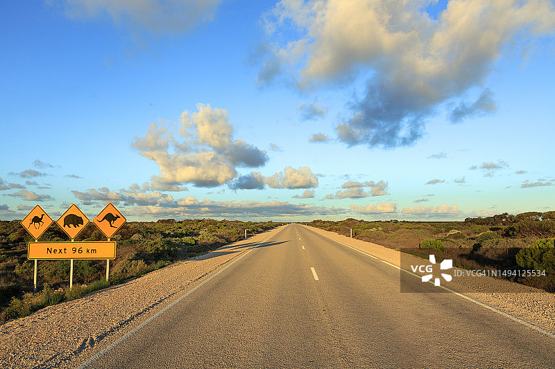 澳大利亚 Nullarbor 平原上的袋鼠、袋熊和骆驼警告标志图片素材